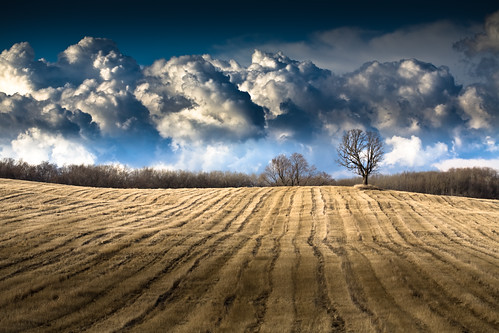 trees light shadow sky mountains tree nature field lines wisconsin clouds canon landscape photography march photo vanishingpoint spring oak midwest view farm bare branches horizon picture 100mm rows short cumulus 5d agriculture distance wi 2009 distant vast expanse fitchburg canoneos5d flickrexplore danecounty canonef100mmf28macrousm ruralcountry portalwisconsinorgselected lorenzemlicka portalwisconsinorg040209