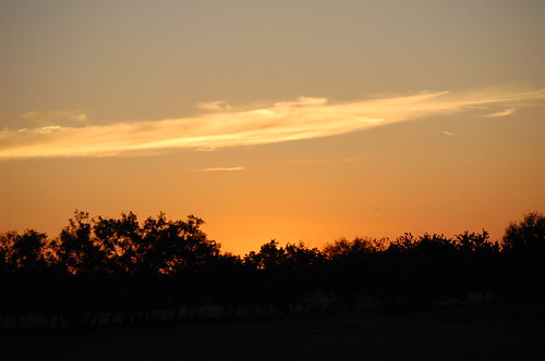 Sunset at the Farm June 23, 2009 by wdnew71, flowers sunset sunrise texas farm 2009 richlandsprings