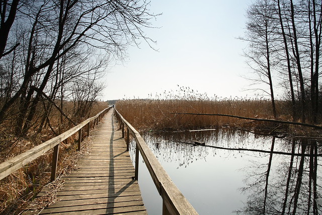 Poleski Park Narodowy. Jezioro Łukie