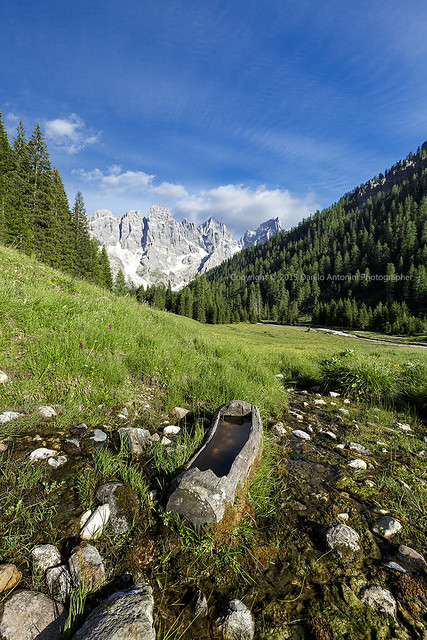 Dolomiti - La Val Venegia (08496)