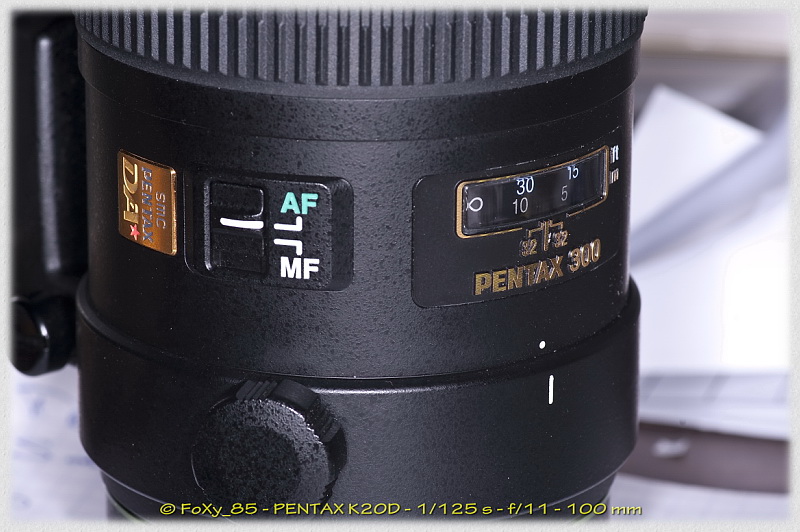 smc PENTAX-DA* 300mm F4 ED [IF] SDM | FoXy_85 | Flickr