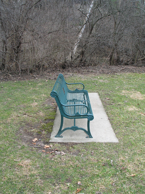 Bench, Linden Park, Birmingham, Michigan