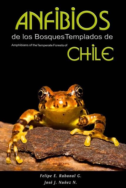 Anfibios de los Bosques Templados de Chile.