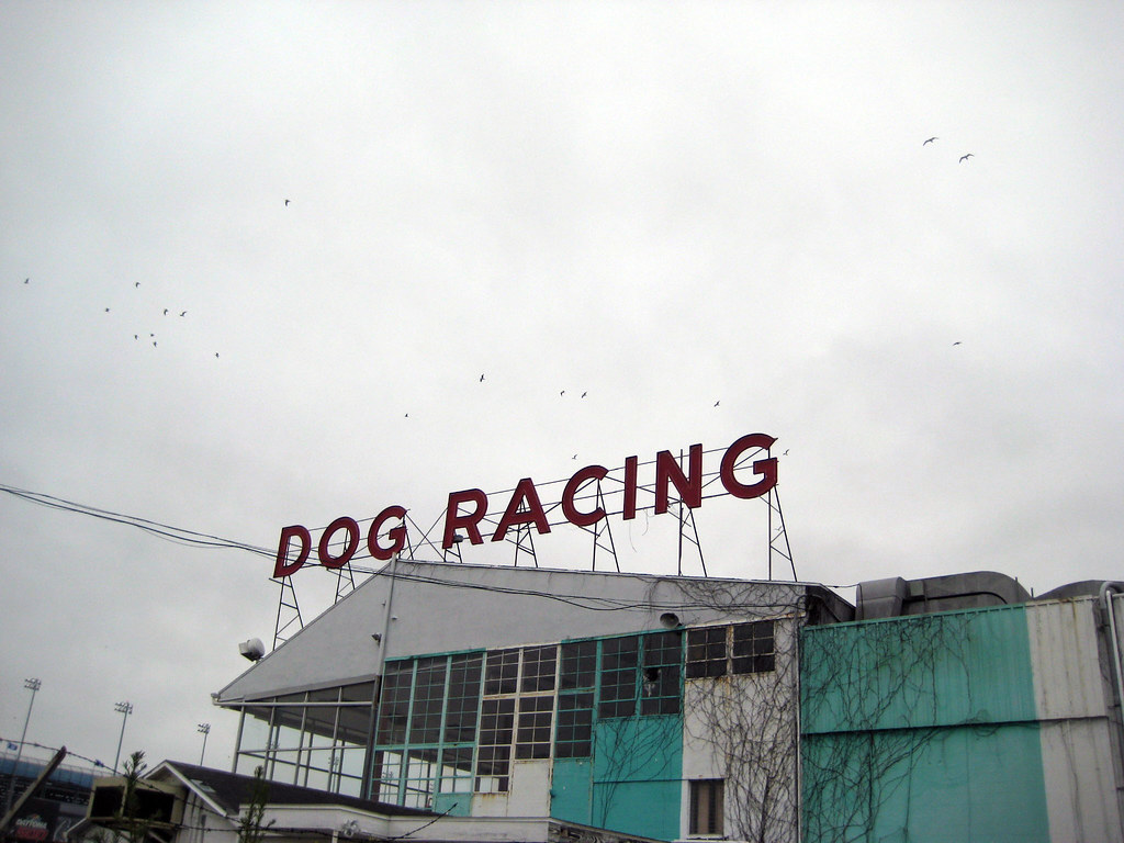 How Old Is Dog Racing