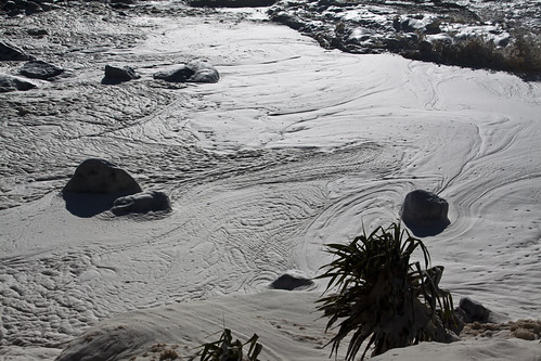 Snapper Rocks_220509714 | by Michael Dawes