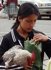 Pretty girl with chicken - Mujer bonita con gallo; Mercado de Cobán, Guatemala