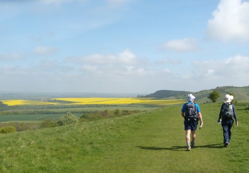 Towards Ivinghoe Beacon Tring to Berkhamsted