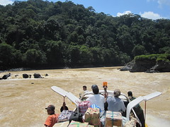 Batang Rejang River  21 - Entering the rapids