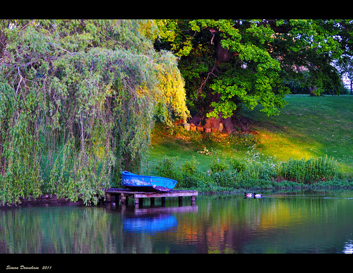 blue sunset reflection tree green reflections boat duck pond oak dusk jetty ducks bank willow isleofwight weeping newnhamfarm dsc0818axbx