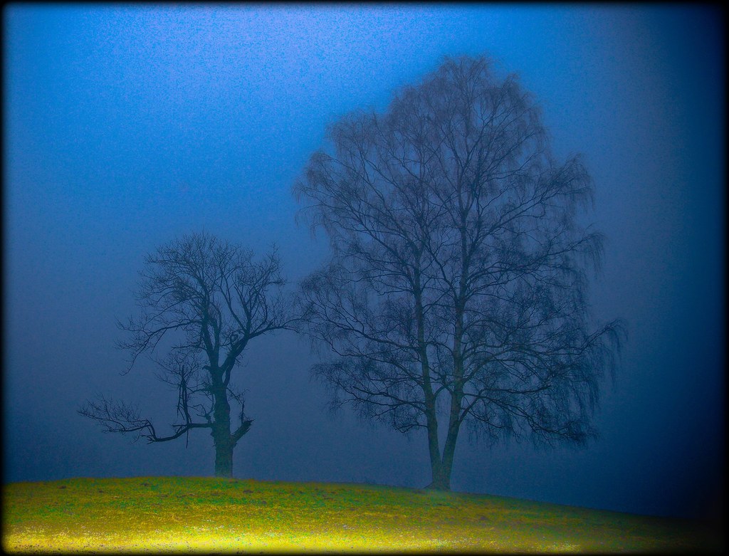 im Nebel - morning fog by NPPhotographie