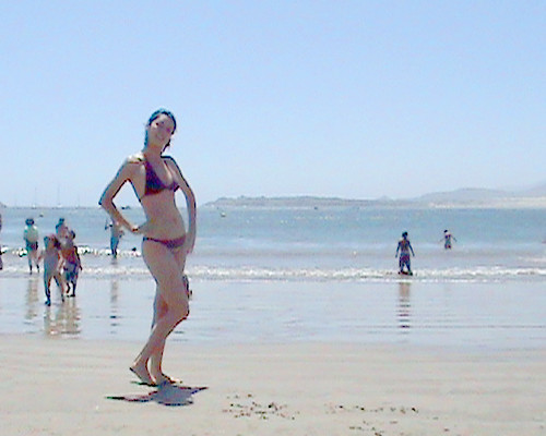 Bikini Beach