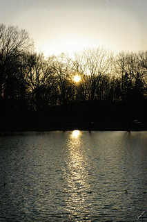 rising park sunset