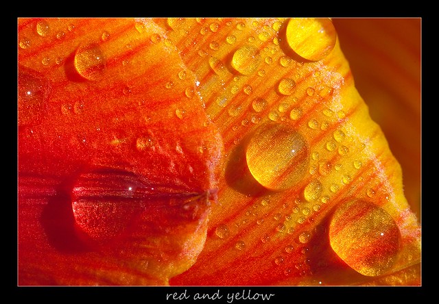 red an yellow