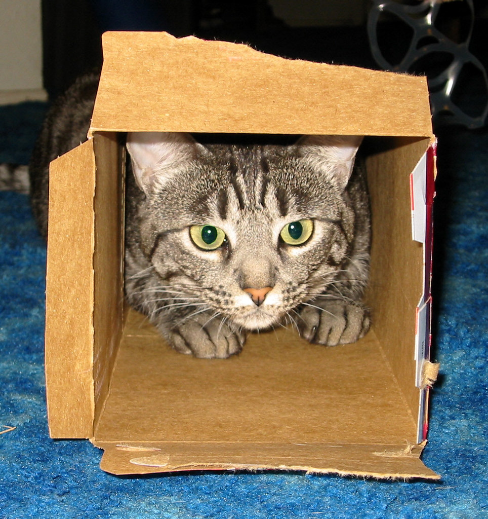 Cat In The Box Cat In Box Tunnel Admiller Flickr