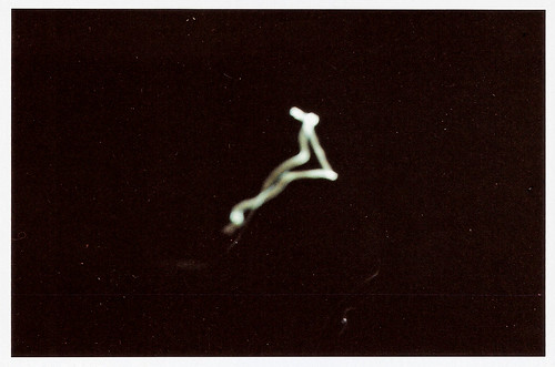 light film analog experimental fiat portoalegre scan pinhole fujifilm pelicula creature lux alternate copies fósforos altphoto matchboxpinhole pinlux ruriak imagemiragem