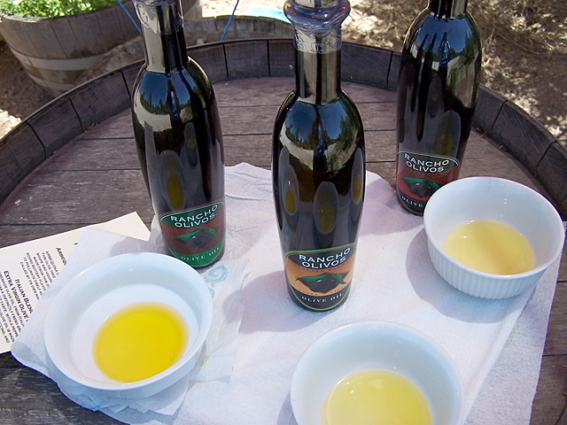 Olive oil tasting 2