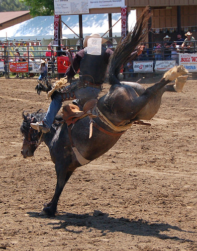 Pro Bronc Riding Bronc Riding | Flickr