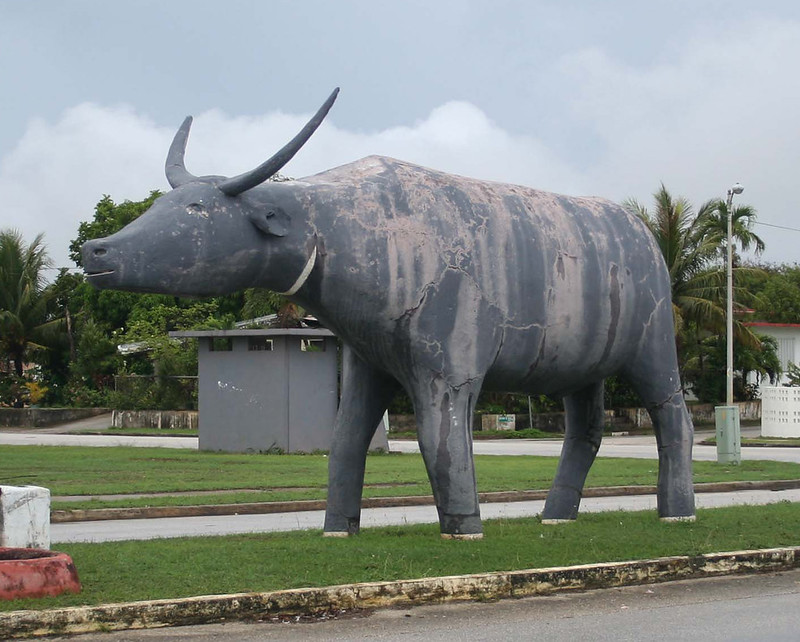 This carabao stands at the entrance to a housing division in Yona. The carabao is a significant icon in Guam's culture.

Nathalie Pereda/Guampedia