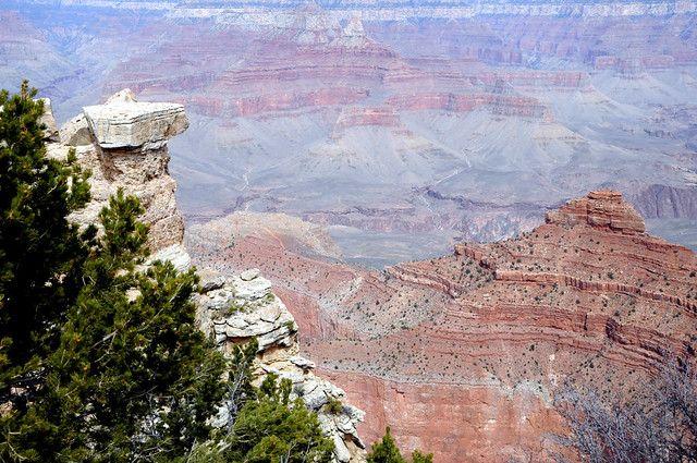 DSC_1757 Grand Canyon National Park Arizona