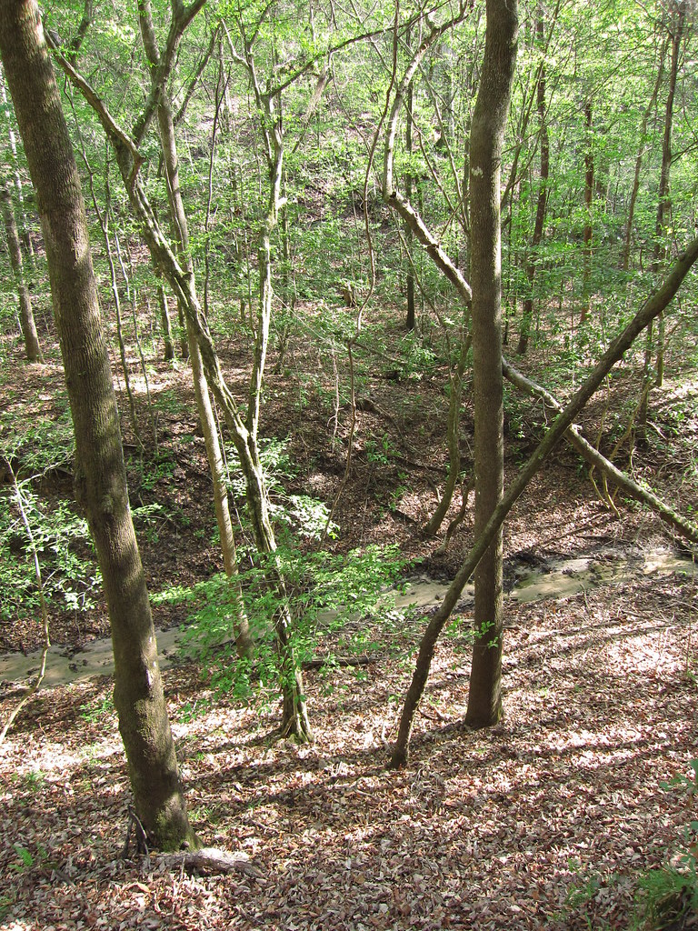 Garden of Eden Trail