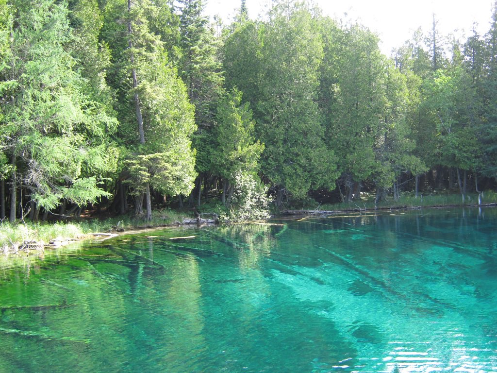 View from raft at Kitch-iti-kipi Spring