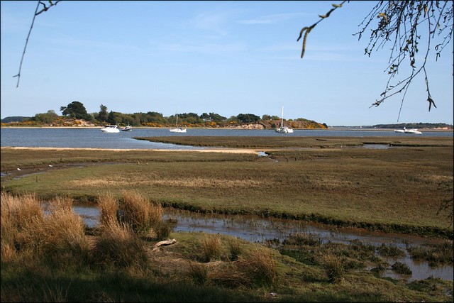 Arne overlooking Poole Harbour and Round Island