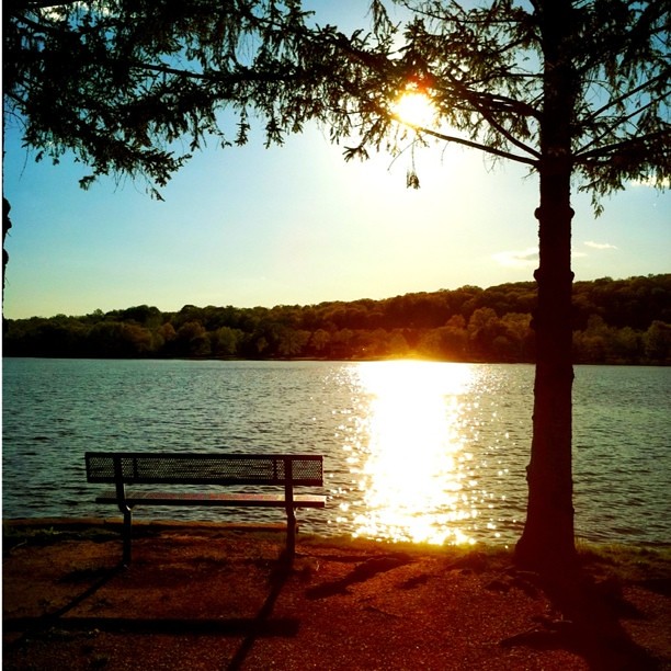 #sunset #sun #iphonography #lake #park