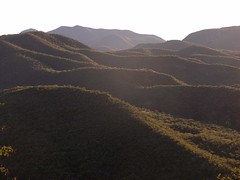 Desert between - Desierto entre Moctezuma & Sahuaripa,  Sonora, Mexico