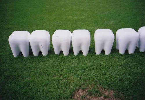 teeth | by miwa'photos