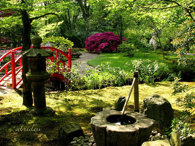 Historic Japanese Garden - Clingendael