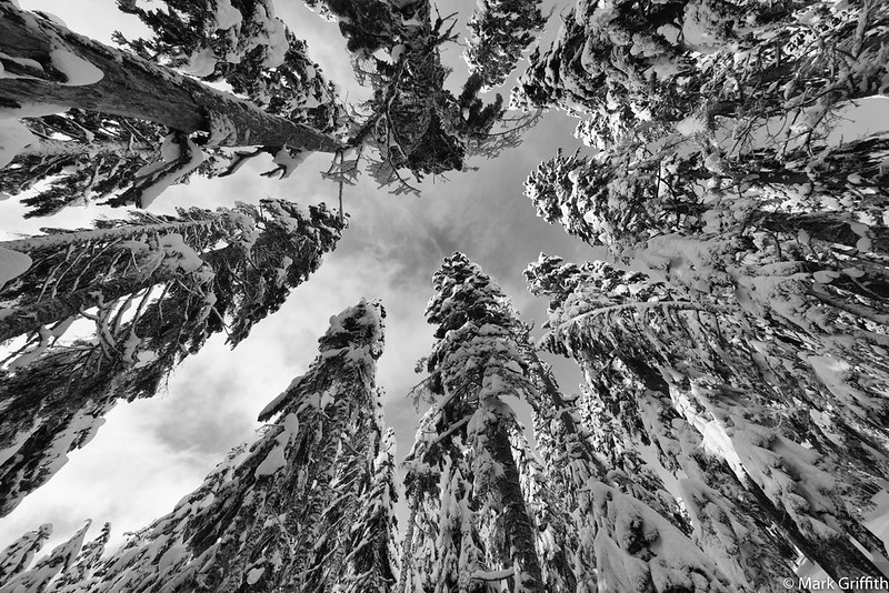 Guardians of Heaven