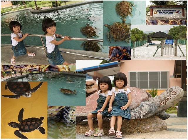 Renice and Renee at the Pasir Panjang Segari Turtle Management Center (via Aperture Book feature)