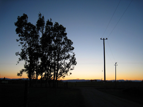 sunset tree silhouette powerpoles corningcalifornia