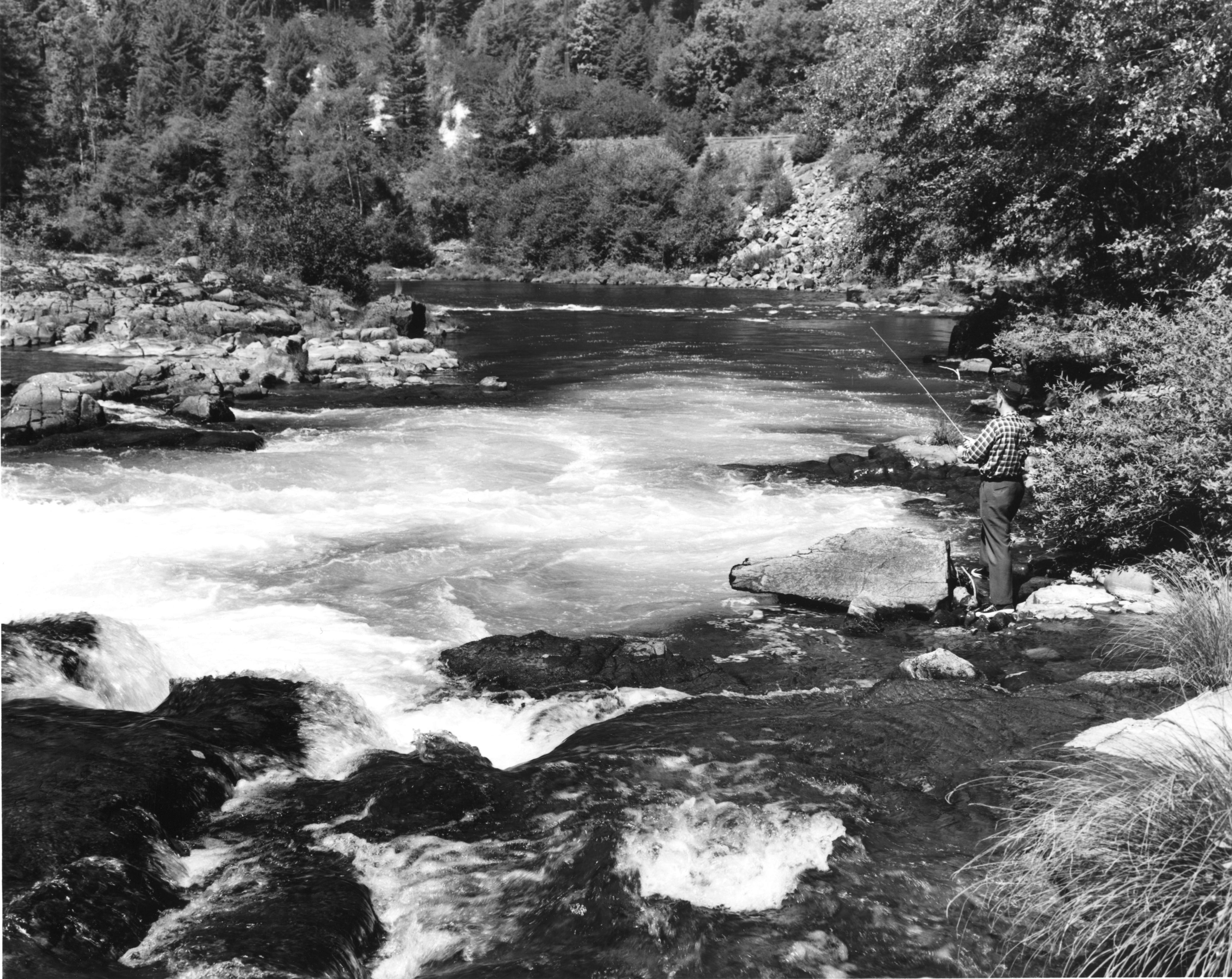 White water fishing in the North Umpqua River in the Cascade Mountains