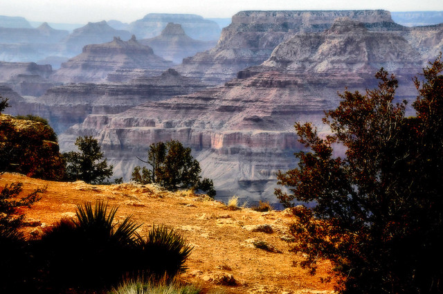 DSC_1795 Grand Canyon National Park Arizona Desert Southwest USA America