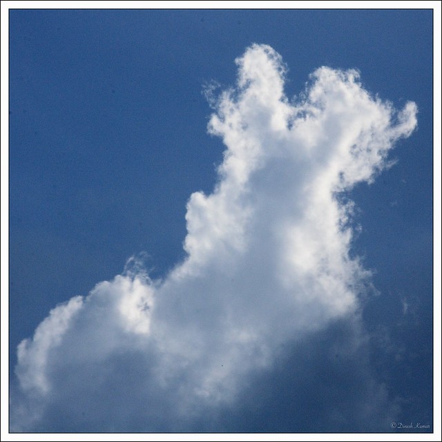 Smoking Dog  Cloud :D