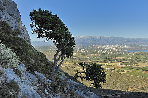 Landscape Crete June 2009