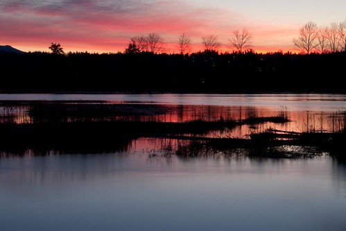 nature water sunrise washington waterfront wildlife tide places february everett spencerisland canonxsi everettflickrphotostroll efps