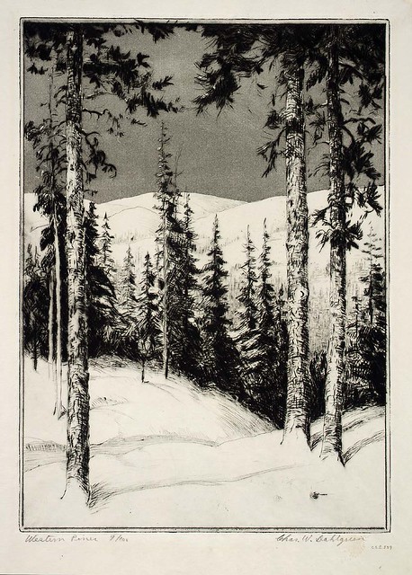 Charles W. Dahlgreen: Western Pines, 1934