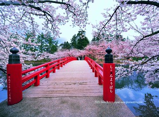West Moat Hirosaki castle. (Explored)  Over 46,000 views for this photo. Thank you. © Glenn E Waters. | by Glenn Waters ぐれんin Japan.