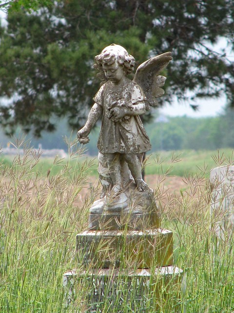 Forgotten Cemetery Angel in Batesville, Texas (Picture a Day May 14, 2009)