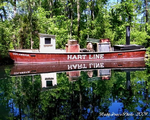 Hart Line by Austie1