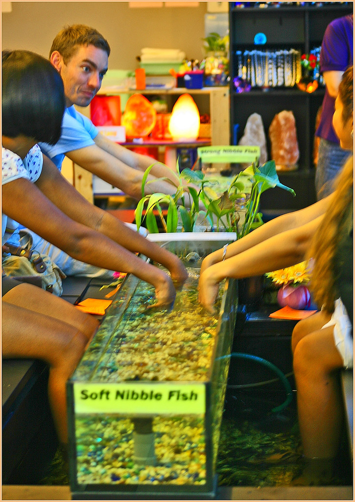 Nibbles Fish Spa Маникюрный Педикюр