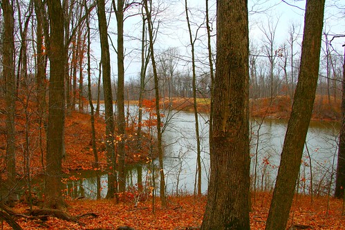 trees lake pond woods university indiana southern evansville usi