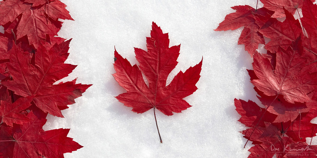 Maple Canada Flag | This flag of Red maple leav… | Flickr