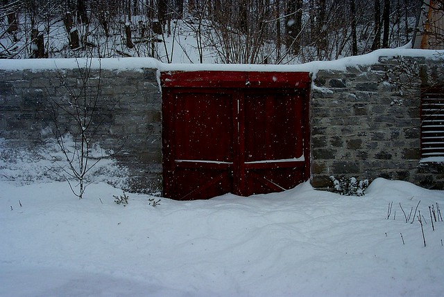 Winter Wall photo by Pat Newton