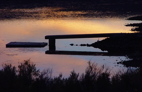 Crescent Bar LTR - Wharf & Heron Silhouette at Sunset by Pat's Pics36, At Crescent Bar Leisure Time Resort (part of Thousand Trails) near Quincy WA, there are often beauti