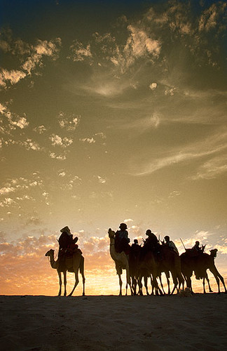africa christmas sunset festival atardecer desert au camel mali tombouctou timbuktu camello tuareg dromedario