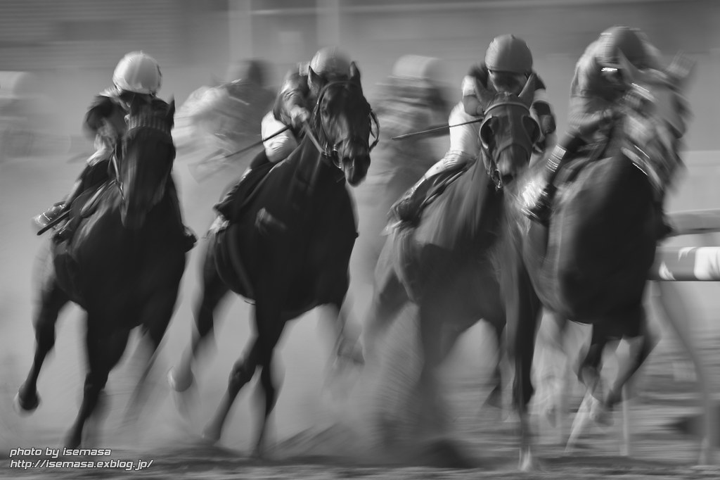 Horse racing dynamism