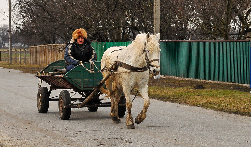 Cossack on horse cart
